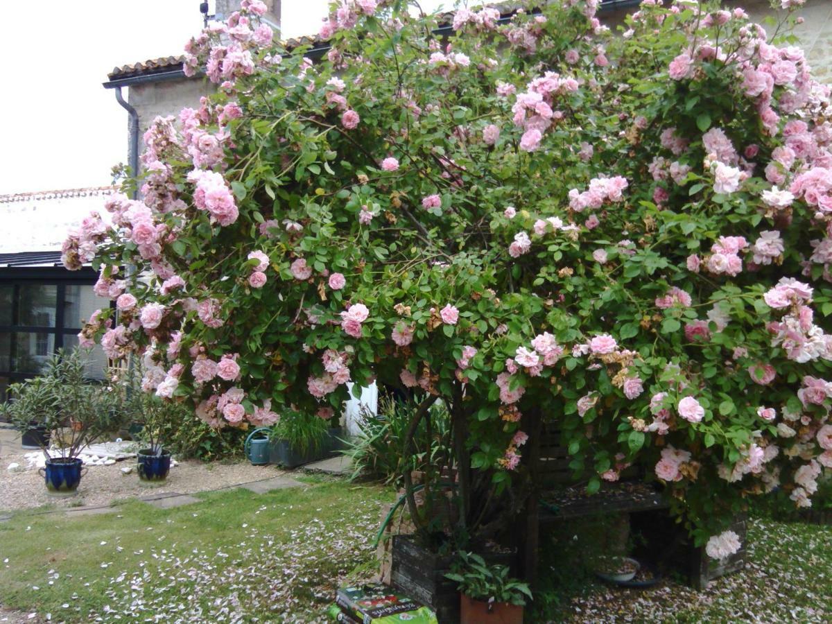 La Rosaliere Bed & Breakfast Chabournay Dış mekan fotoğraf